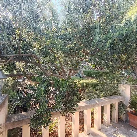 بيت للعطل Sunce بيساك